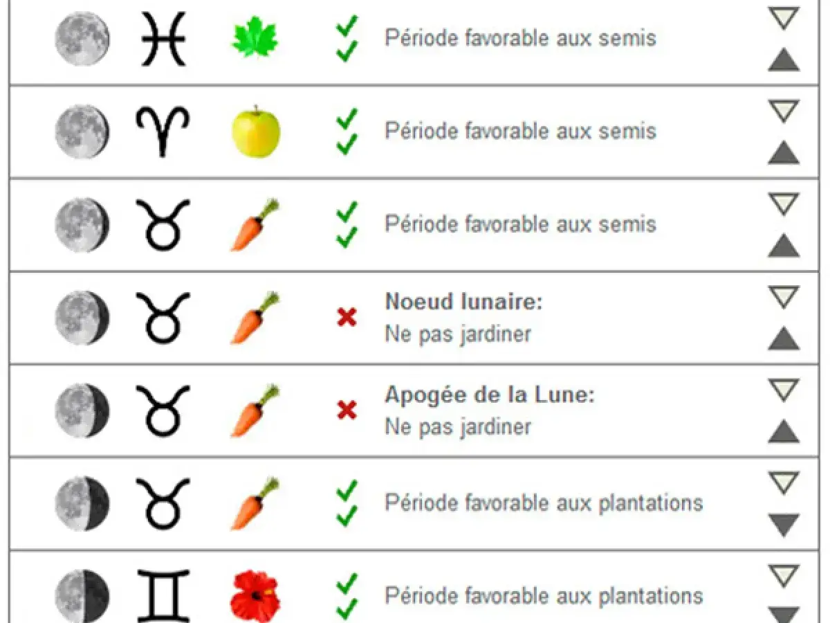 Tableau lunaire pour le jardinage : phases de la lune, signes astrologiques, cultures et conseils pour jardiner avec la lune.