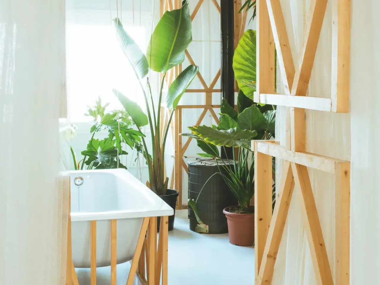 Un ba&ntilde;o moderno con ba&ntilde;era y muchas plantas para el ba&ntilde;o, creando un oasis verde y relajante.