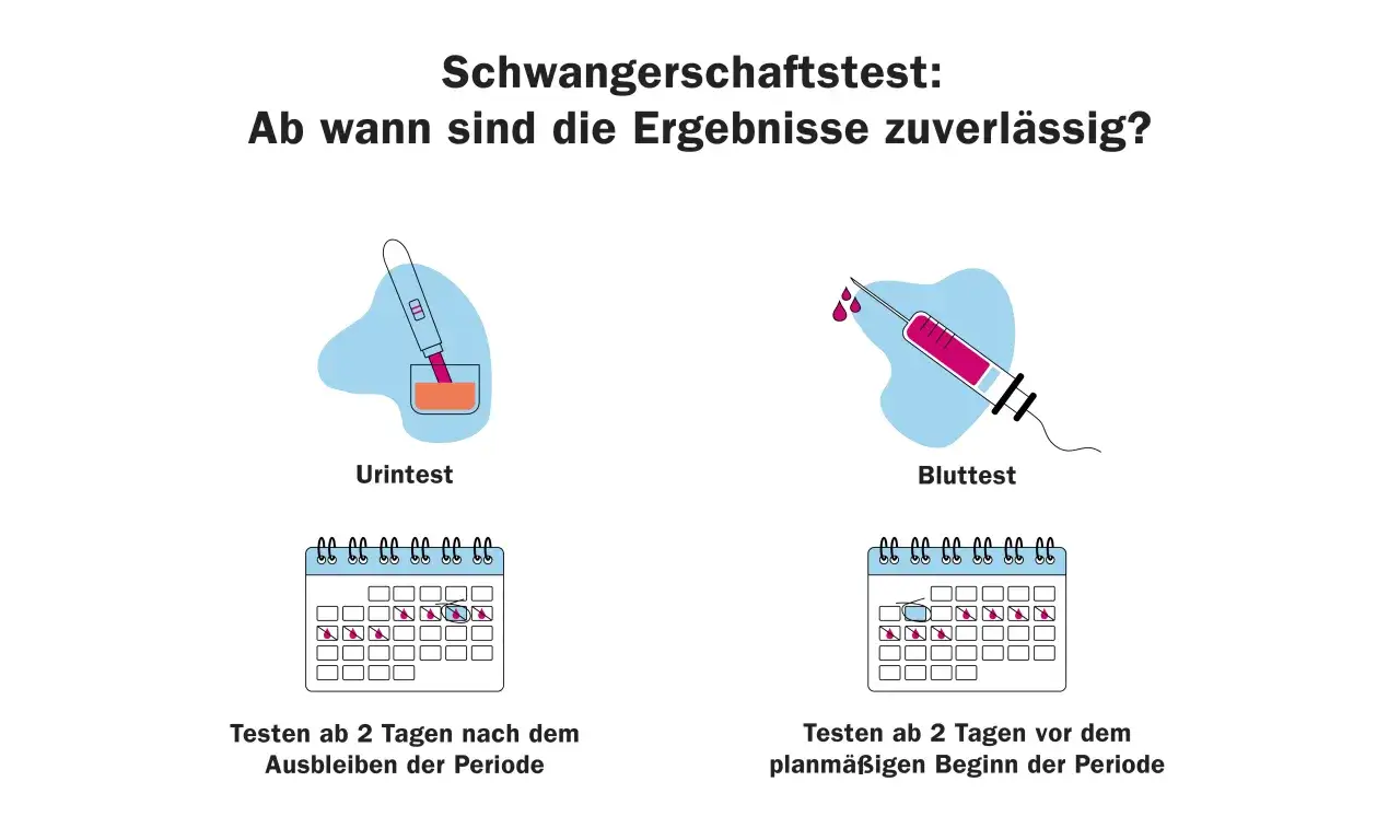 Wann Schwangerschaftstest? Urin- und Bluttests werden verglichen. Urintests sind ab 2 Tage nach Ausbleiben der Periode zuverl&auml;ssig, Bluttests ab 2 Tage vor dem geplanten Beginn.