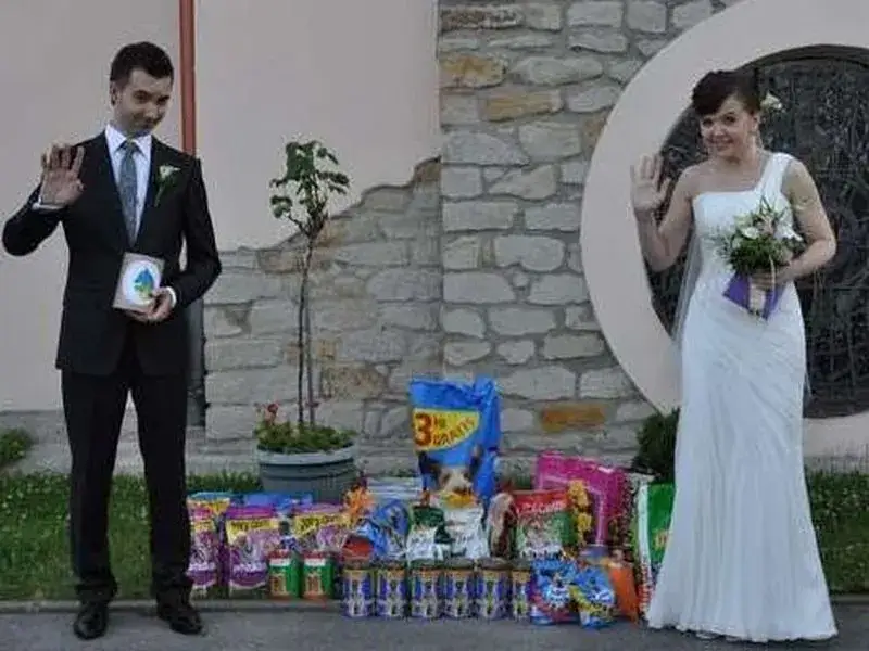 para młoda z zebraną karmą dla schroniska ślub