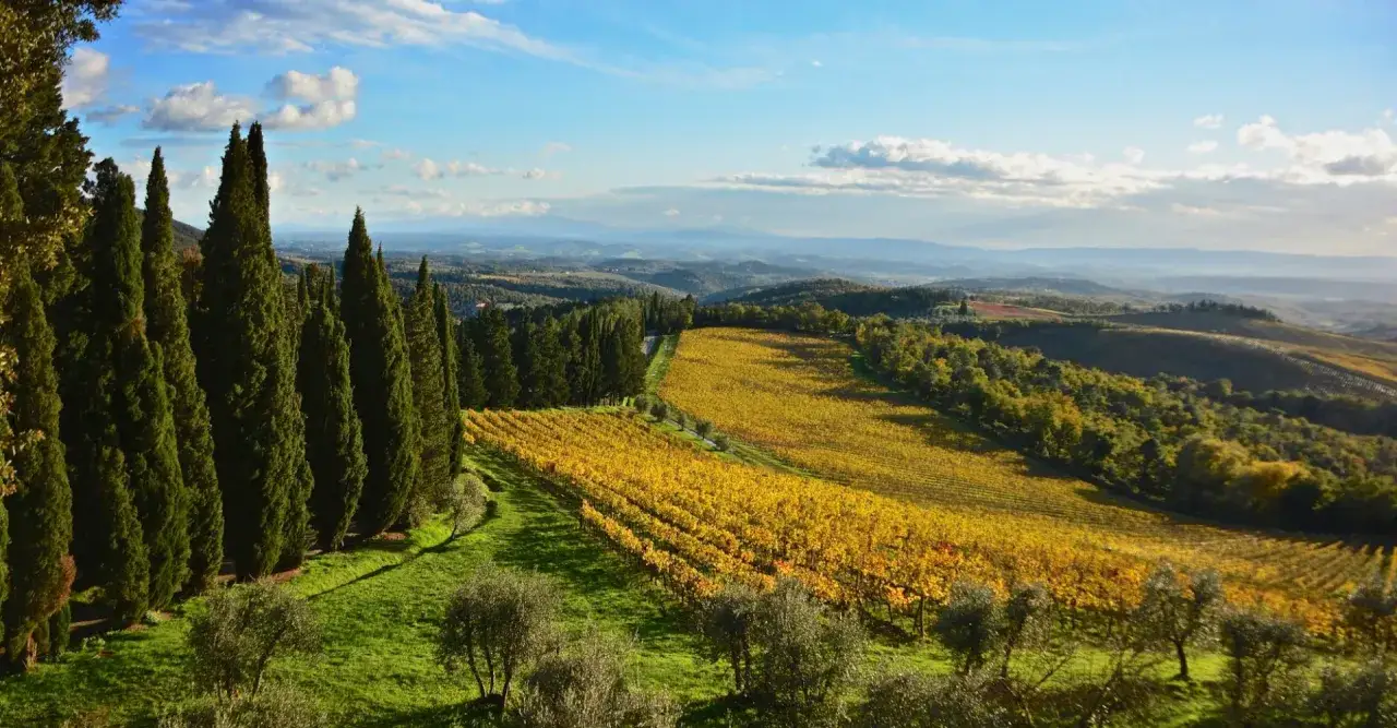 Vackert landskap i Toscana med böljande kullar, gyllene vingårdar och höga cypresser. Perfekta toscana tips för en drömresa.