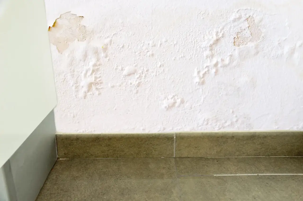 Détérioration d'un mur blanc due à une infiltration d'eau, un vice caché dans une maison. Le plâtre cloque et se décolle, révélant des traces d'humidité.