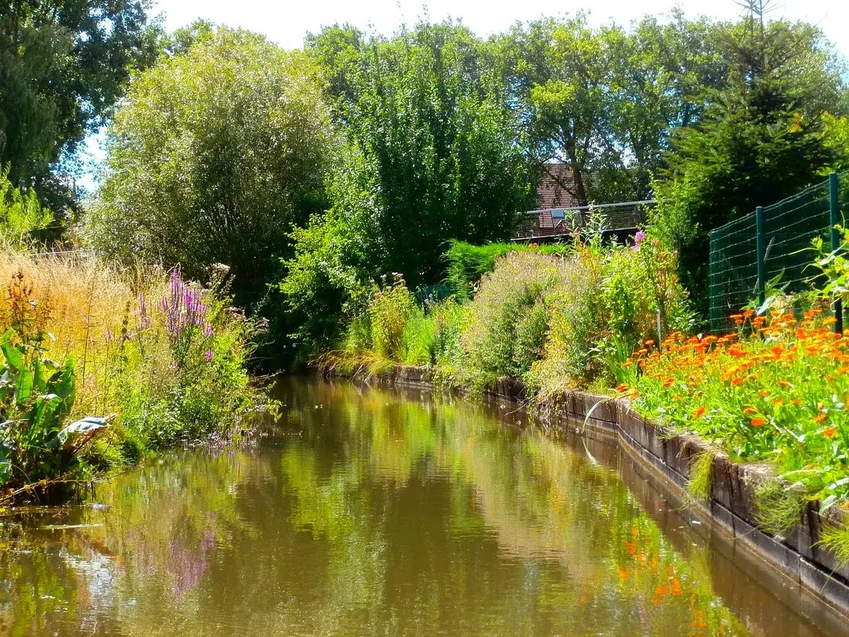Ein idyllischer Kanal in Amiens, Frankreich, ges&auml;umt von &uuml;ppiger Vegetation und leuchtenden orangefarbenen Blumen.