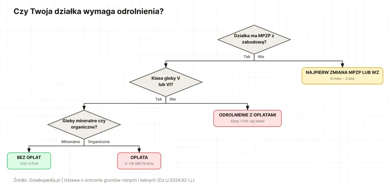 Schemat decyzyjny: przekształcenie działki rolnej na budowlaną. Określa, czy działka wymaga odrolnienia i jakie są opłaty.