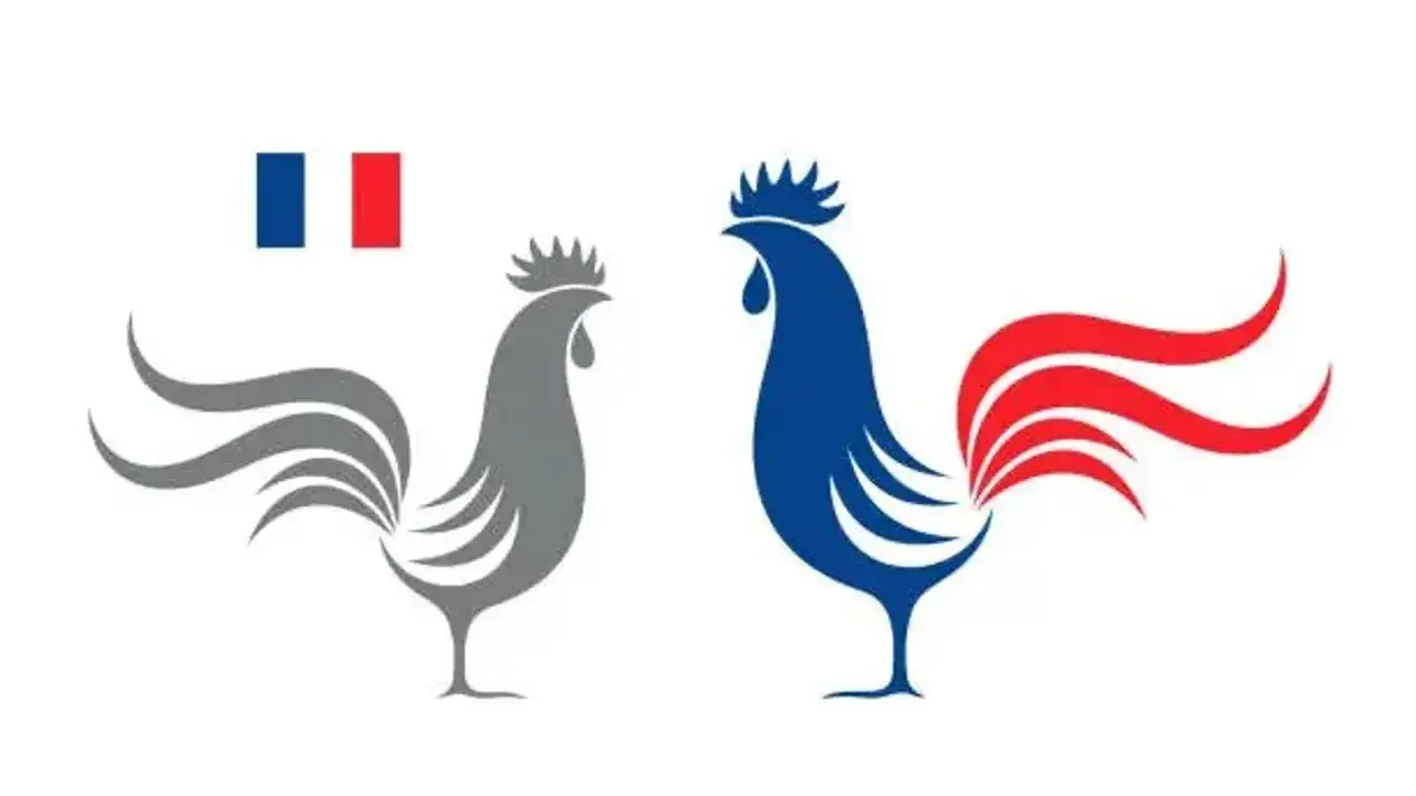 Dos gallos estilizados, uno gris y otro azul con cola roja, junto a la bandera francesa. El gallo es el animal nacional de Francia.