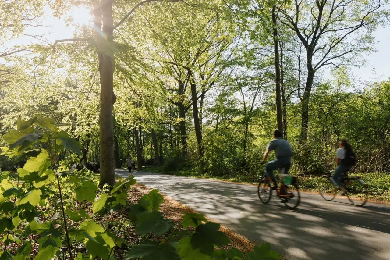 Zwei Radfahrer genießen die Sonne auf einem Weg im Grünen. Ein Bild von einer lebenswerten Stadt mit viel Natur.