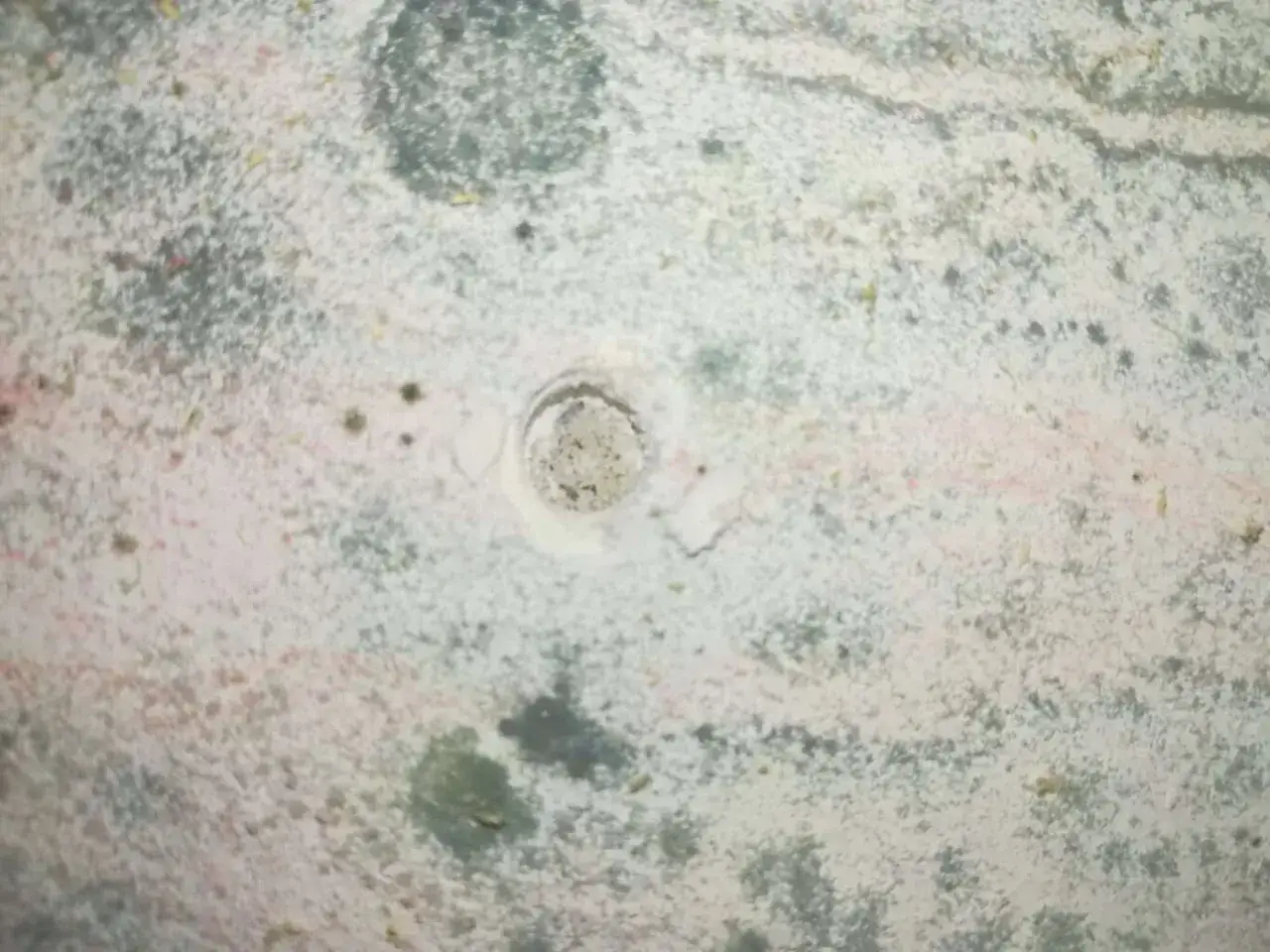 Macchie di muffa verde sui muri, segno di umidit&agrave;. Un foro centrale rivela la struttura sottostante.
