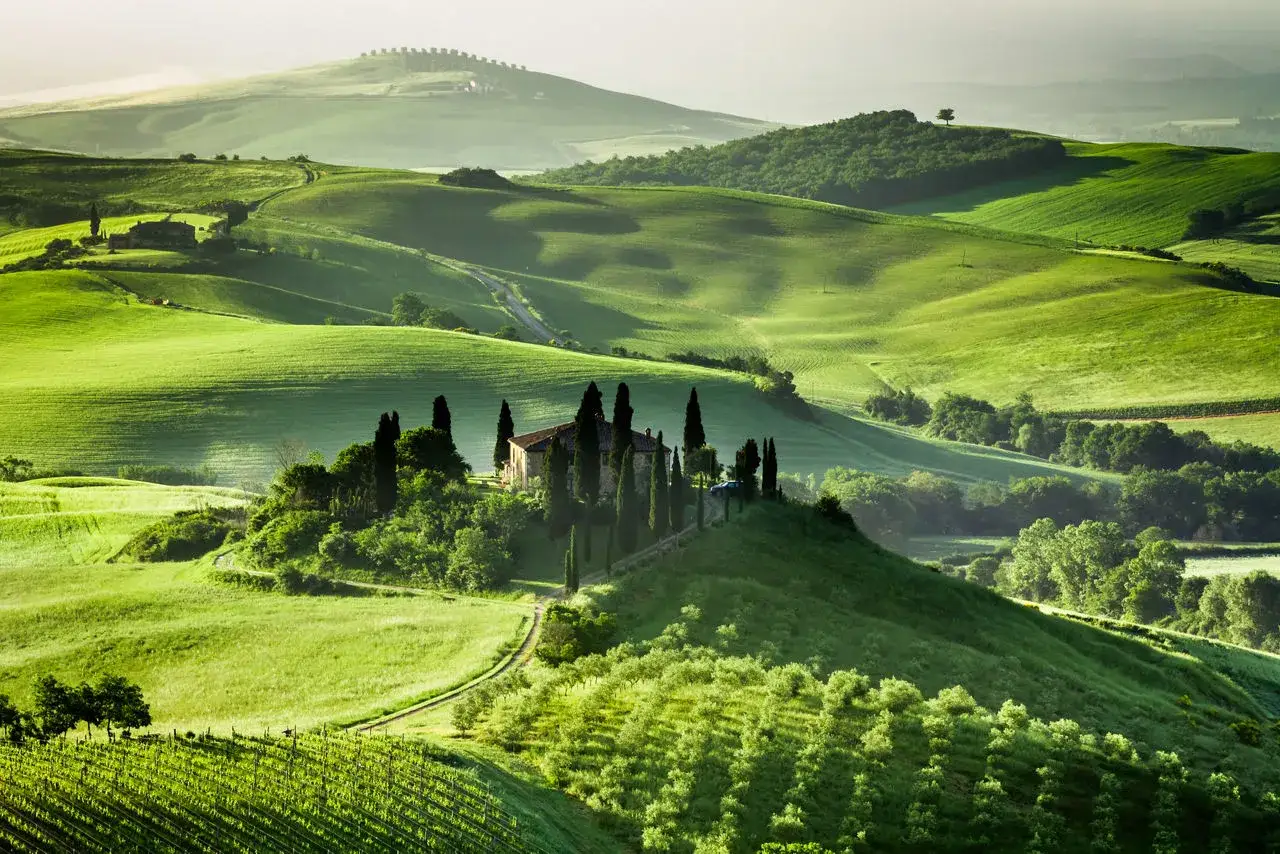 Colline verdi ondulate con un casale e cipressi, un paesaggio che evoca dove si trova Montalcino.