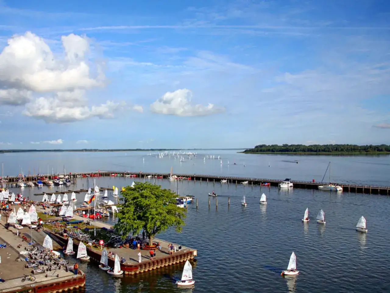Viele Segelboote im Ribnitz-Damgarten Hafen. Ein langer Steg mit Bäumen und Booten.