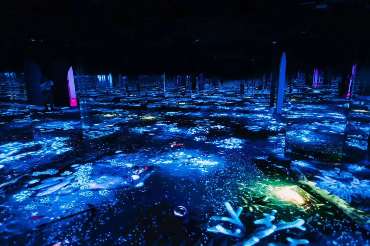 Immersion dans un monde aquatique lumineux à Paris, où des projections de poissons et de coraux créent une **bubble planet** féerique.