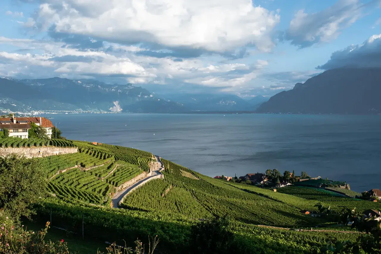 Winnice Lavaux Szwajcaria UNESCO