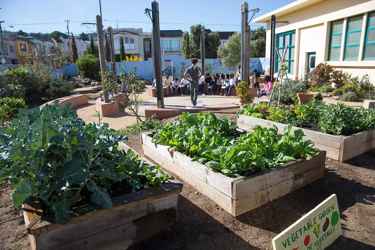 Kinder lernen im Schulgarten viel über Gemüseanbau. Diese Projekte der Grundschule fördern das Verständnis für Natur.