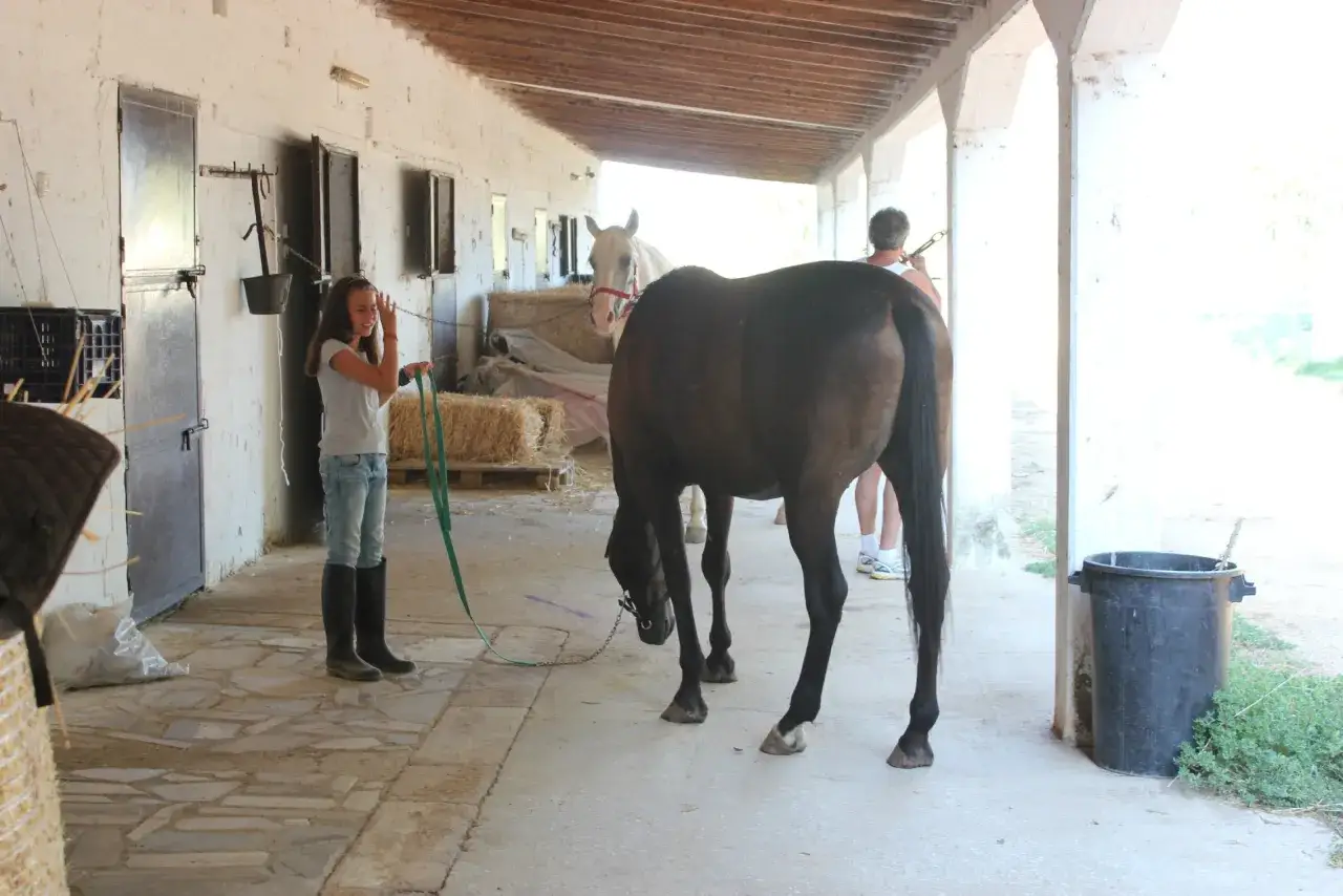 Una ragazza in una masseria con animali in Puglia tiene un cavallo. Un altro cavallo bianco è sullo sfondo.