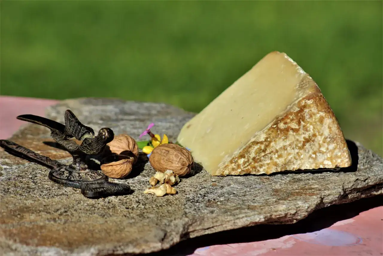 Un morceau de fromage du Cantal, des noix et un casse-noix en forme d'oiseau sur une pierre. Un aperçu des spécialités du Cantal.
