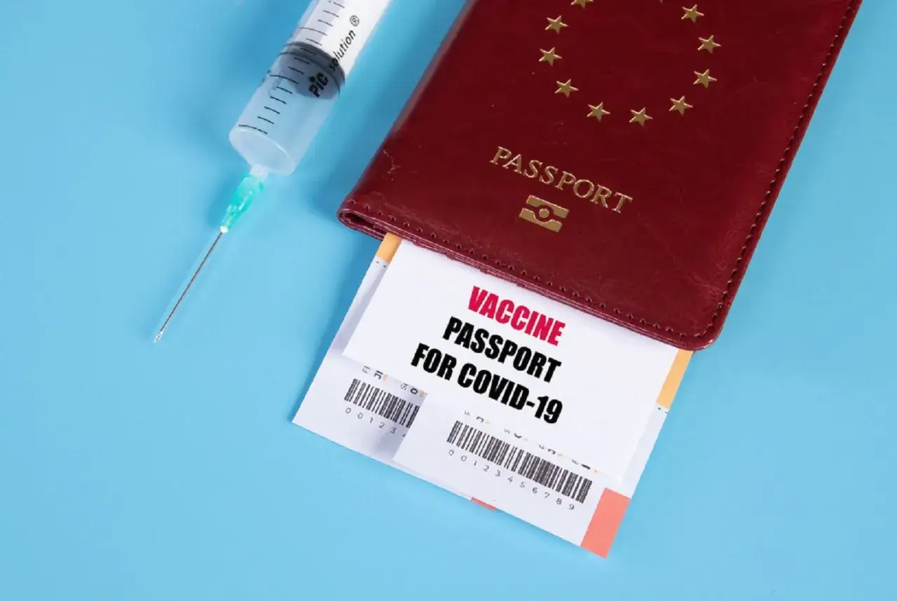 En spruta och ett pass med ett vaccinpass f&ouml;r covid-19. Kanske redo f&ouml;r en resa till Japan.