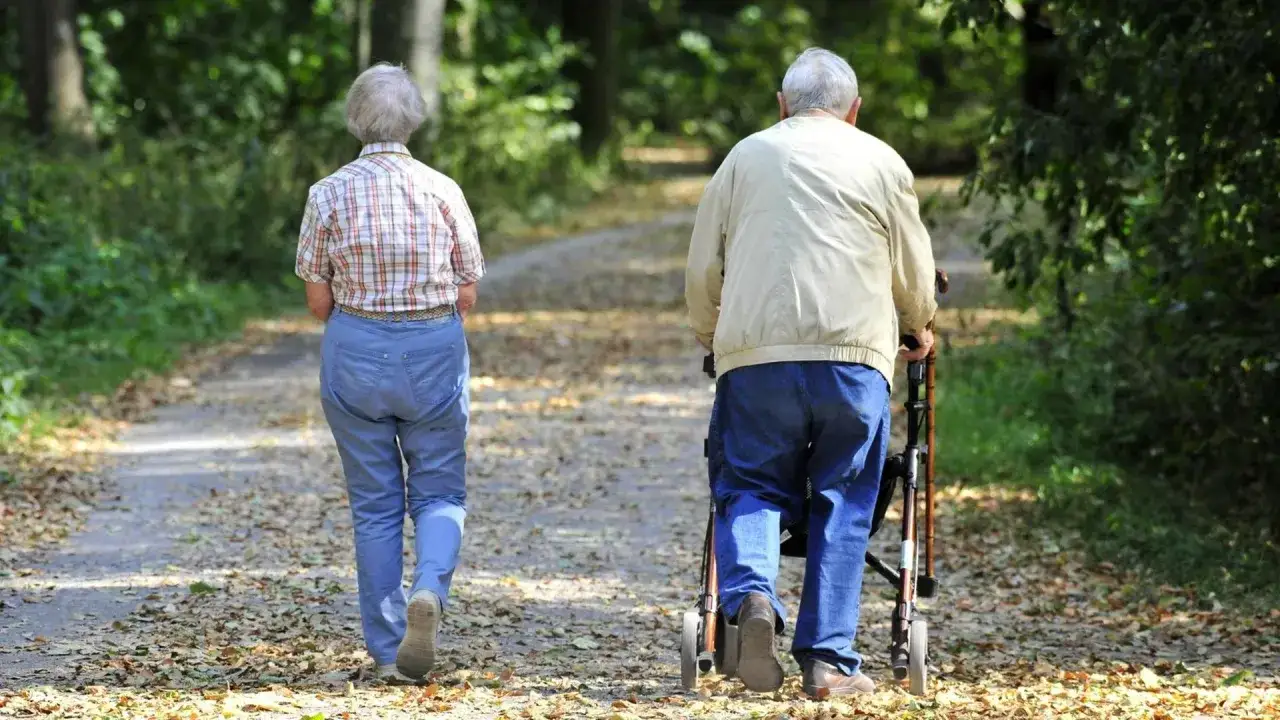 Zwei &auml;ltere Menschen gehen nebeneinander auf einem herbstlichen Weg. Die Angst vor Einsamkeit im Alter kann durch gemeinsame Spazierg&auml;nge gemildert werden.
