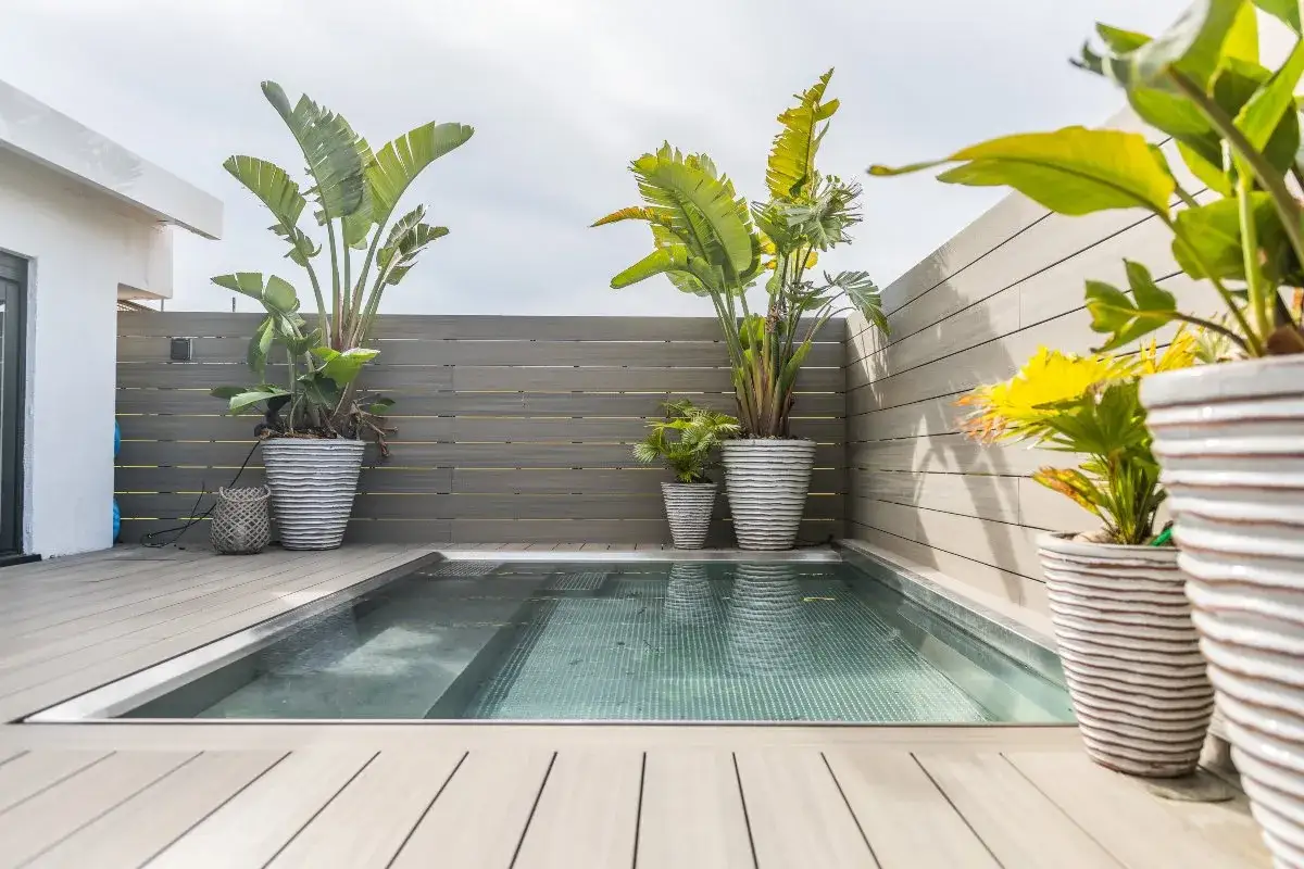 Elegante decoracion terrazas con piscina, con plantas tropicales en macetas y suelo de madera.