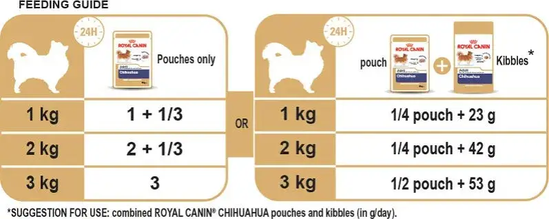 tabela żywienia szczeniaka chihuahua