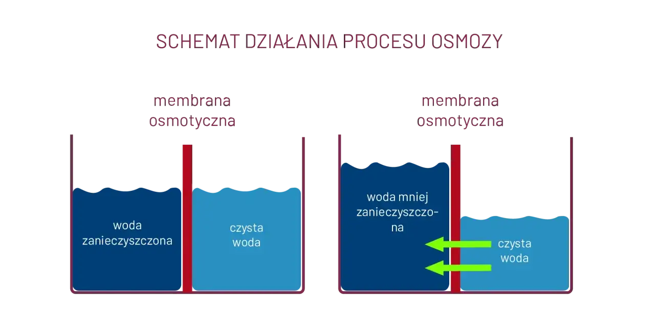 Schemat wyjaśnia, co to osmoza: woda przepływa przez membranę osmotyczną z obszaru o mniejszym stężeniu zanieczyszczeń do obszaru o większym stężeniu.