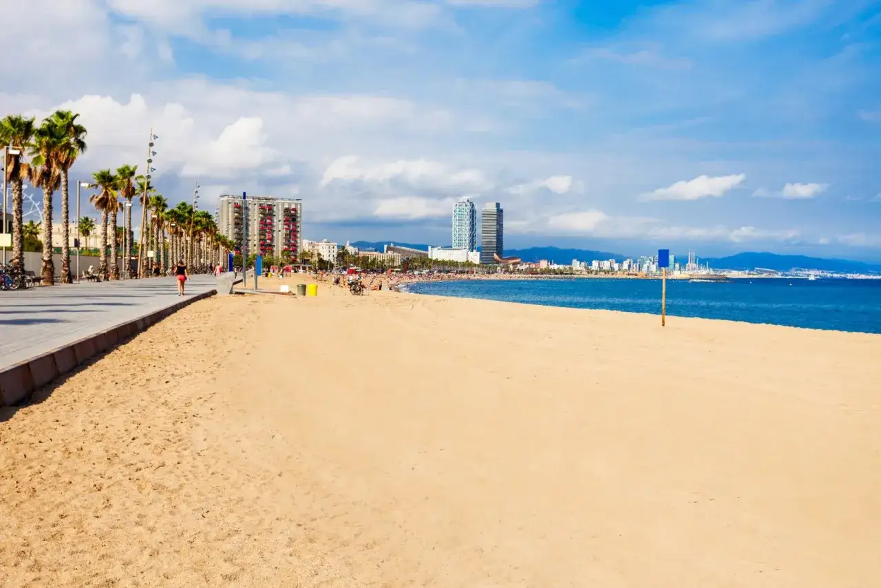 Plaża w Barcelonie, gdzie błękitne morze spotyka się z palmami i nowoczesną architekturą.