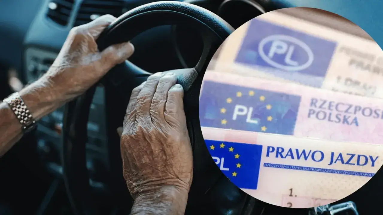 Dłonie seniora na kierownicy i polskie prawo jazdy. W Polsce nie ma górnej granicy wieku do prowadzenia samochodu.