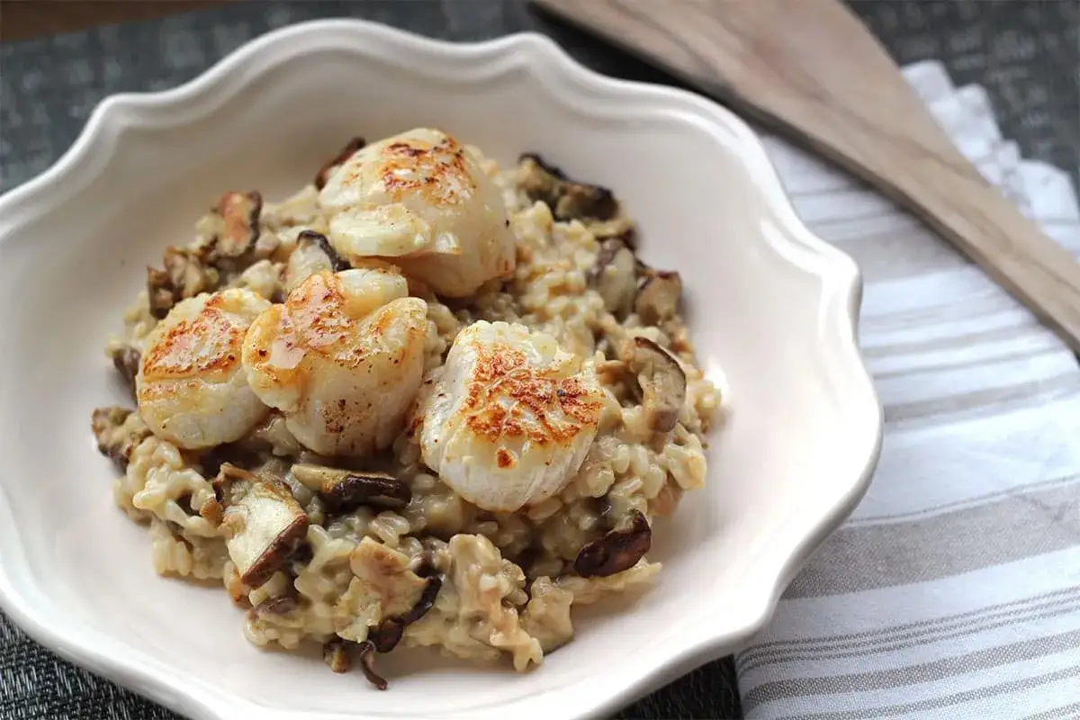 Un cr&eacute;meux risotto aux c&egrave;pes, garni de noix de Saint-Jacques po&ecirc;l&eacute;es, servi dans une assiette blanche.