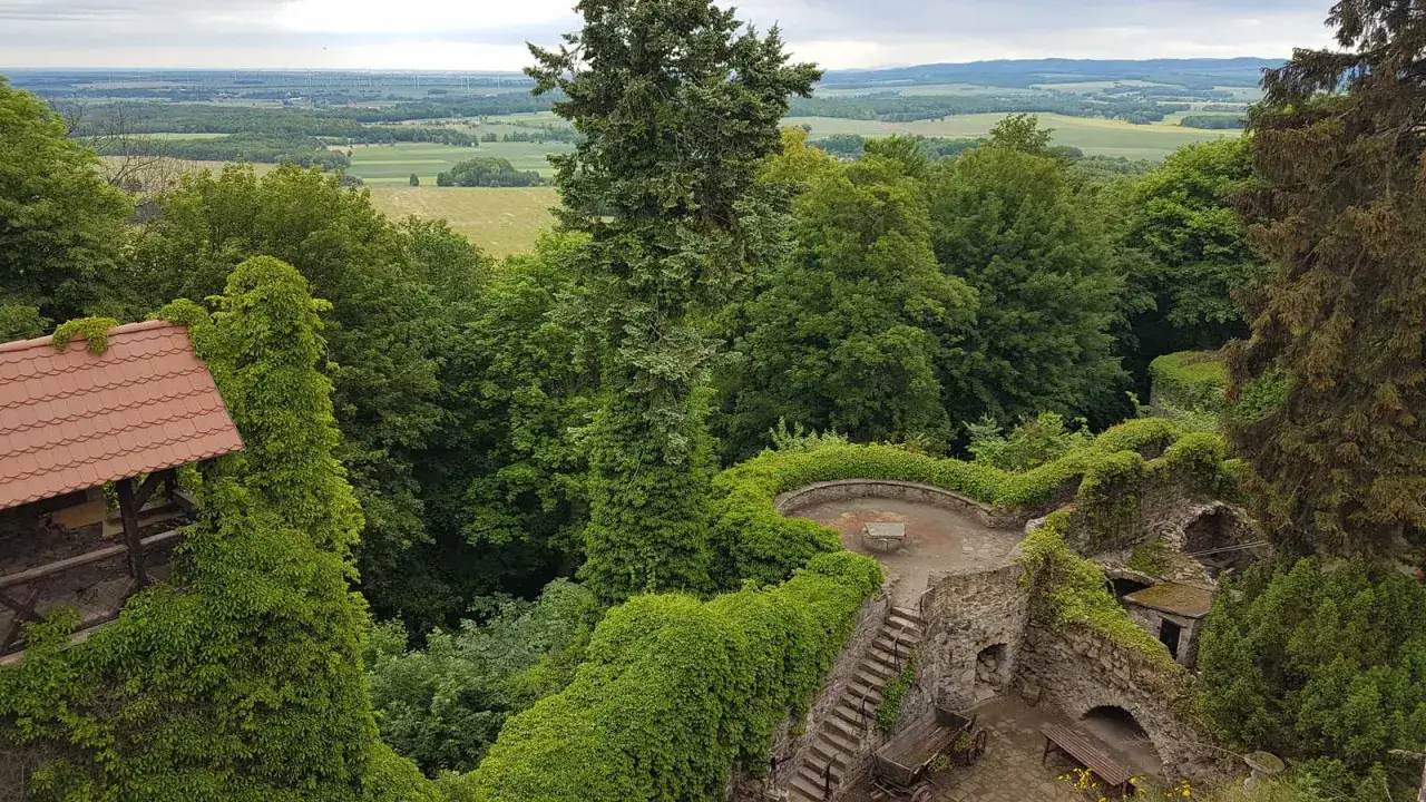 Ruiny zamku Grodziec porośnięte zielenią, z widokiem na pola i wiatraki w oddali.