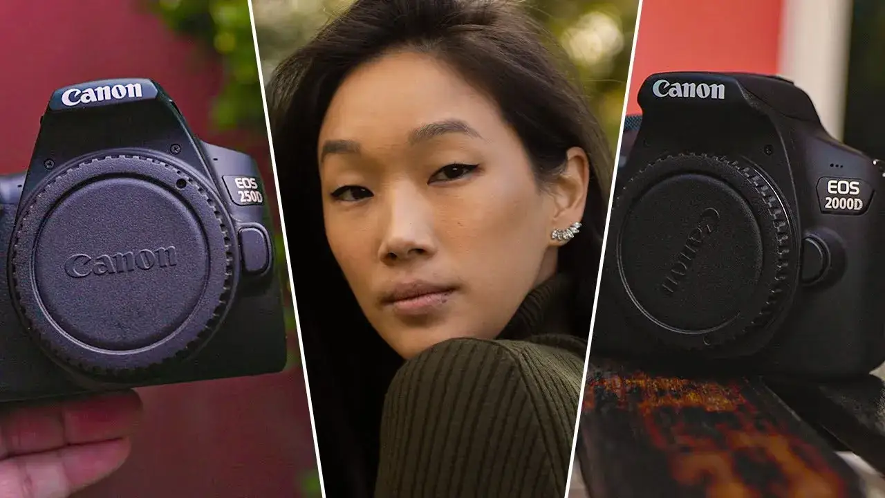 Canon EOS 2000D vs 250D