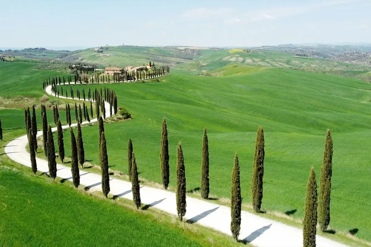 A winding road lined with cypress trees leads to a Tuscan villa, a perfect scene for a road trip from Rome to Tuscany.