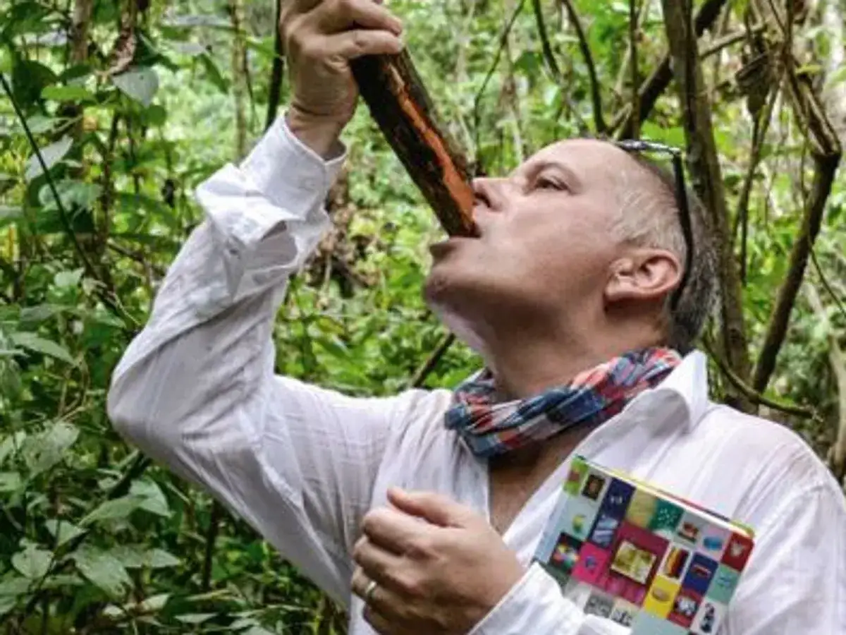 Mann im Dschungel nimmt einen Schluck von einer Rinde, die Teil von Ayahuasca ist.