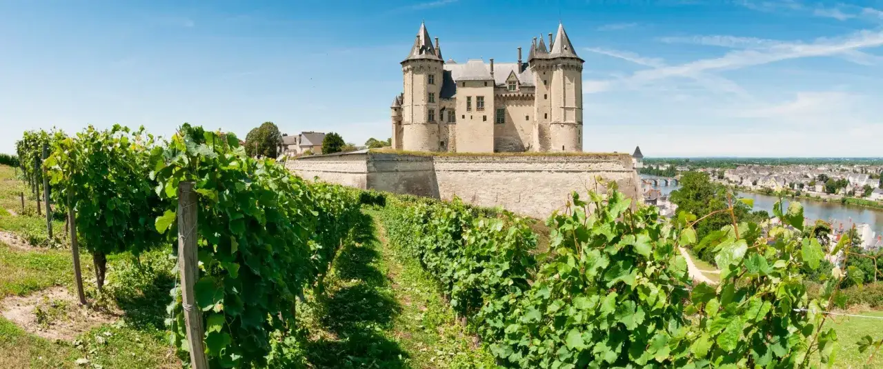 Vignoble verdoyant menant à un majestueux chateau vaudois, surplombant une ville et une rivière sous un ciel bleu.