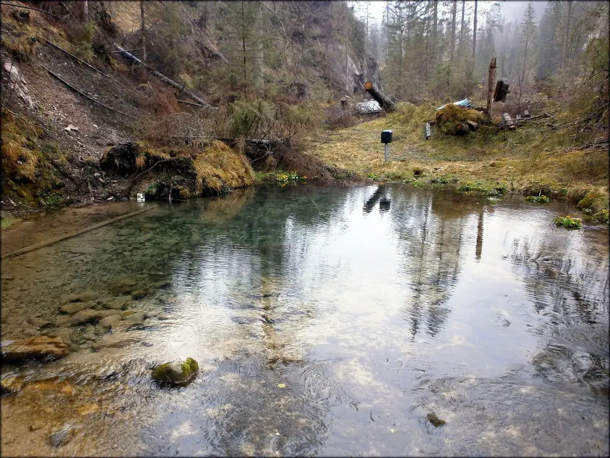Czysta woda wypływa ze zbocza góry, pokazując, skąd się bierze woda w górach. Kamienie i roślinność tworzą naturalny krajobraz.