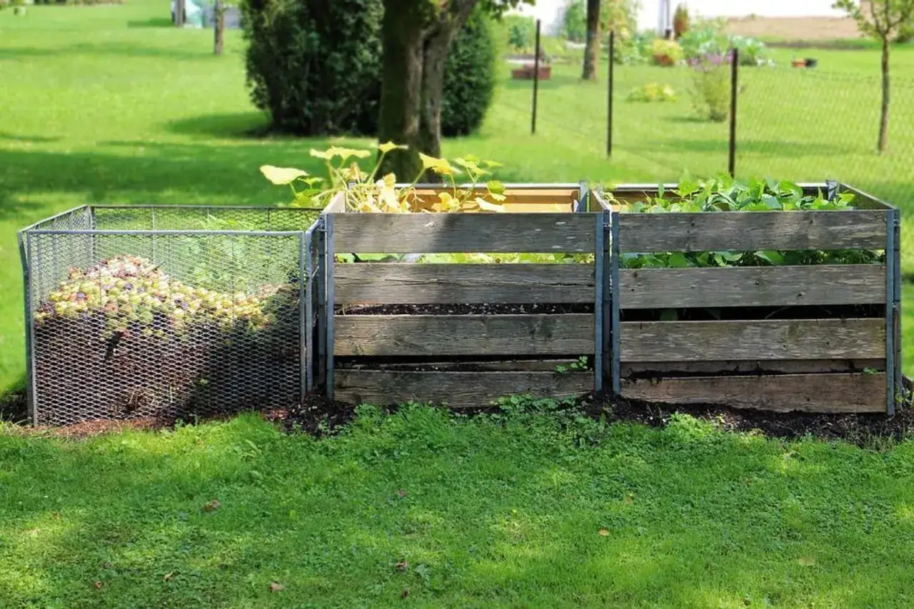 Kompostownik z drewnianymi ściankami i metalową siatką, pełen zieleni i resztek roślinnych. Brak dżdżownic w kompostowniku to problem, ale tu wszystko rośnie.