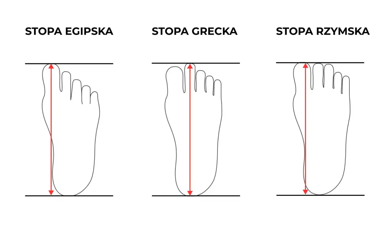 Trzy typy stóp: egipska, grecka i rzymska. Stopa rzymska ma wszystkie palce równej długości.