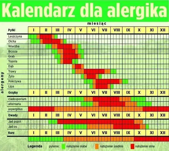 najczęstsze alergeny w Polsce kwiaty drzewa trawy