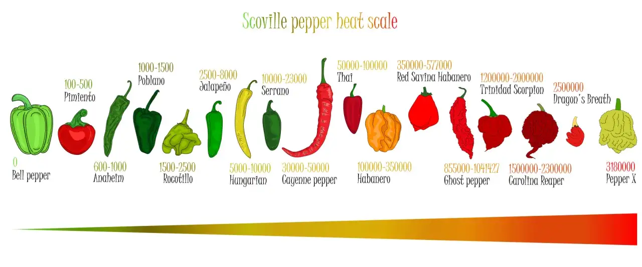 En illustration av Scoville-skalan för chili, från milda paprikor till extremt heta sorter som Carolina Reaper.