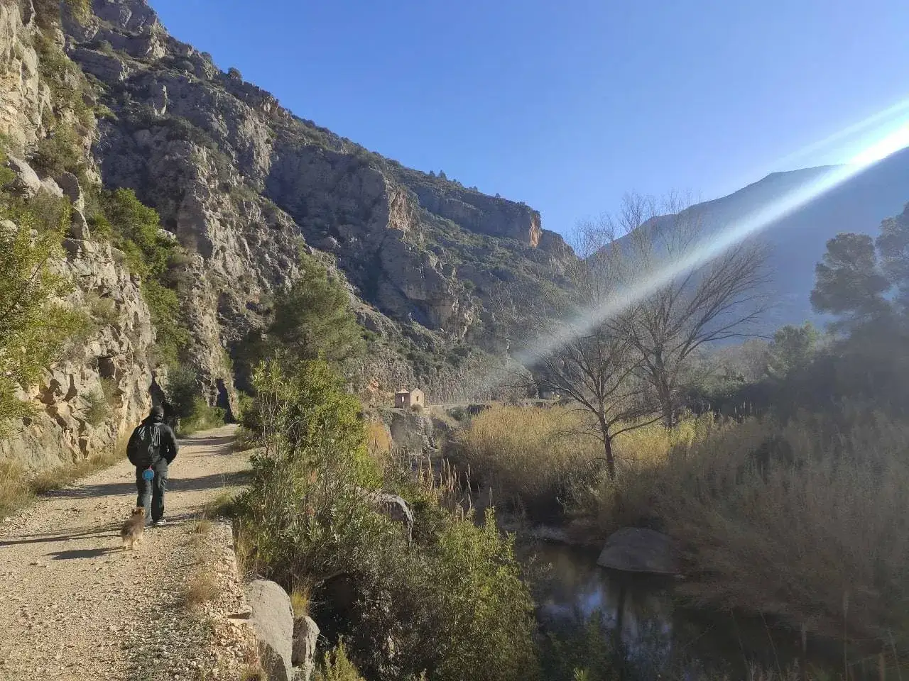 Un excursionista y su perro pasean por la v&iacute;a verde del Serpis, rodeados de imponentes monta&ntilde;as y un r&iacute;o sereno bajo un cielo azul brillante.