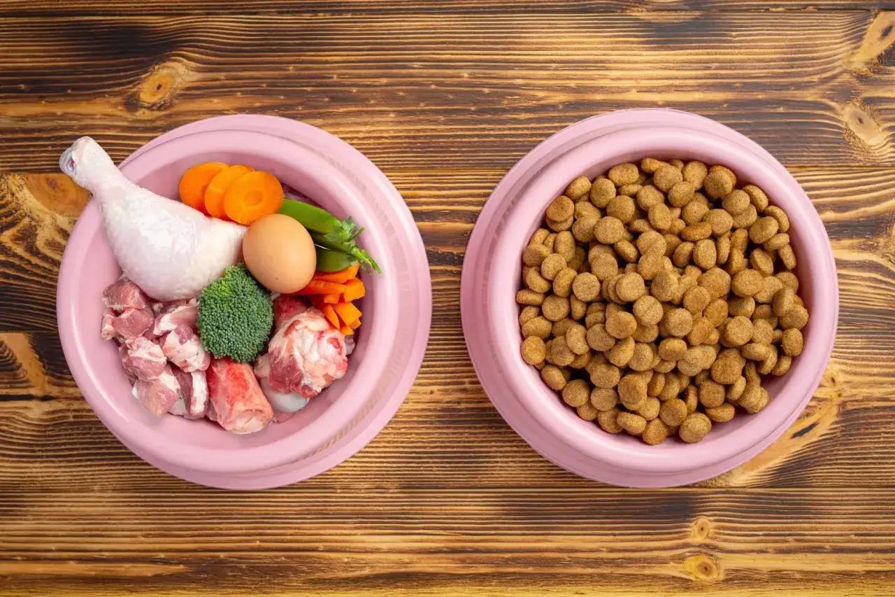 Dos tazones de comida para perros: uno con ingredientes frescos como pollo, carne, huevo y verduras, y otro con pienso seco. Comida natural para perros opiniones.