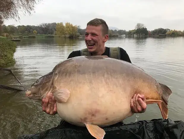 duży karp złowiony w prywatnym łowisku