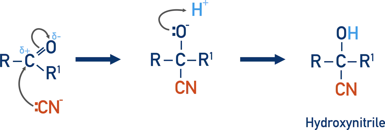 Chemische Reaktion: Nukleophile Addition von Cyanid an ein Carbonyl. Ein Cyanid-Ion greift das positiv polarisierte Kohlenstoffatom an, was zur Bildung eines Hydroxy-Nitrils führt.