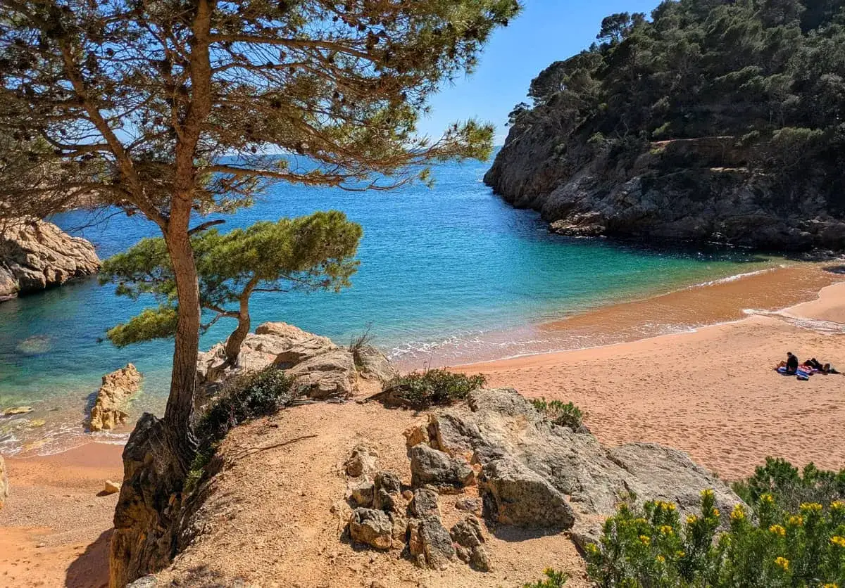 Vue d'une crique de sable rose et d'eau turquoise, idéale pour les activités Costa Brava. Des pins surplombent la plage où quelques personnes profitent du soleil.