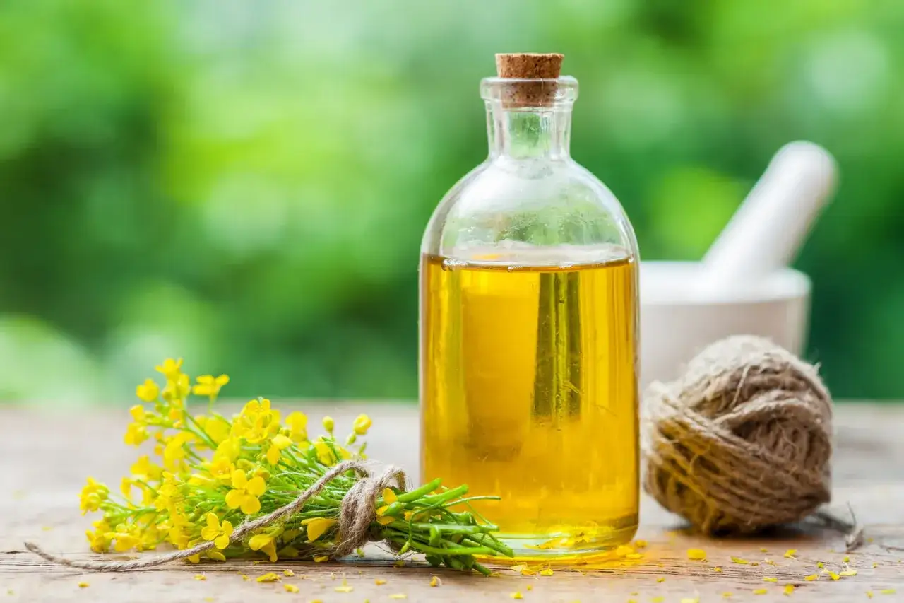 Bouteille d'huile de colza cuisson dor&eacute;e, bouquet de fleurs de colza jaunes, mortier et rouleau de corde sur fond vert flou.