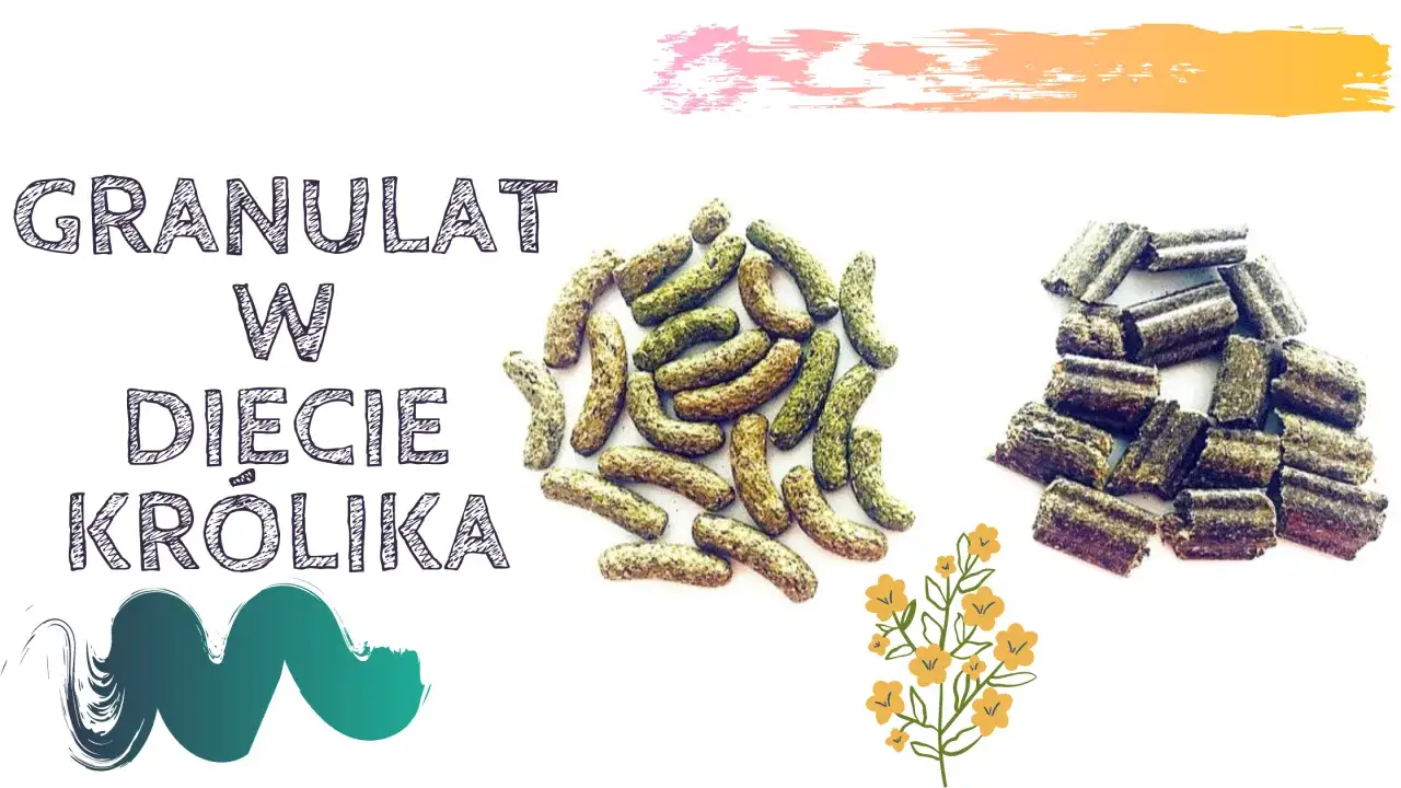 Granulat w diecie królika: stosy zielonych i brązowych granulek, które pokazują, ile zjada królik hodowlany.