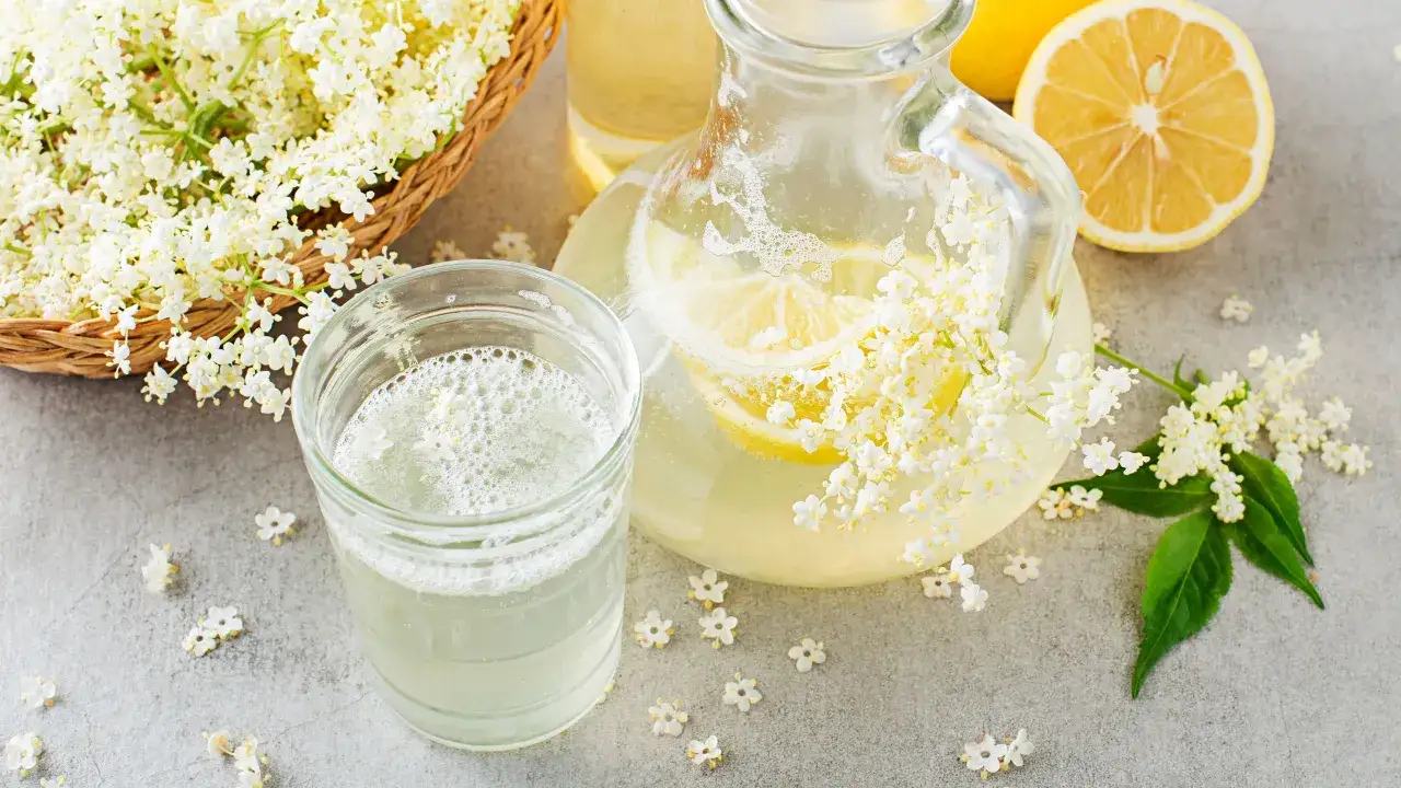 Fiori di sambuco freschi, limone e una caraffa con la ricetta sciroppo di sambuco.