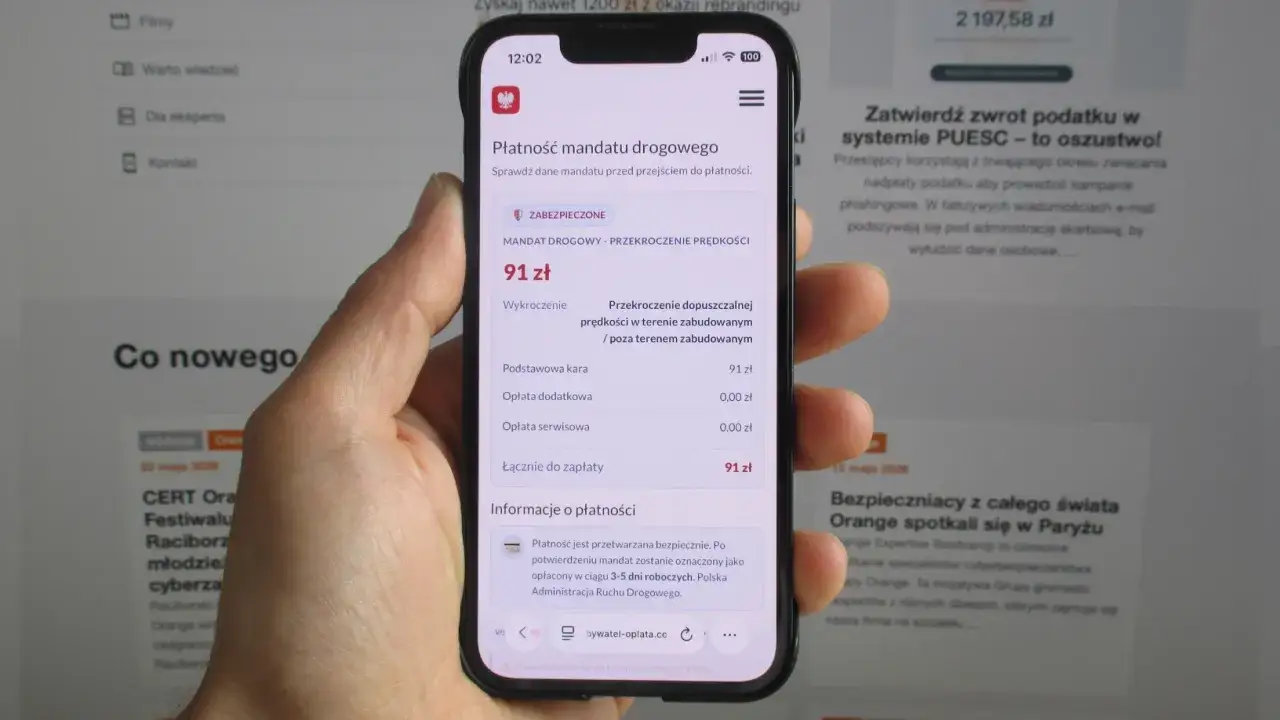 Gdzie sprawdzić mandat? Na ekranie telefonu widać szczegóły mandatu drogowego na kwotę 91 zł.