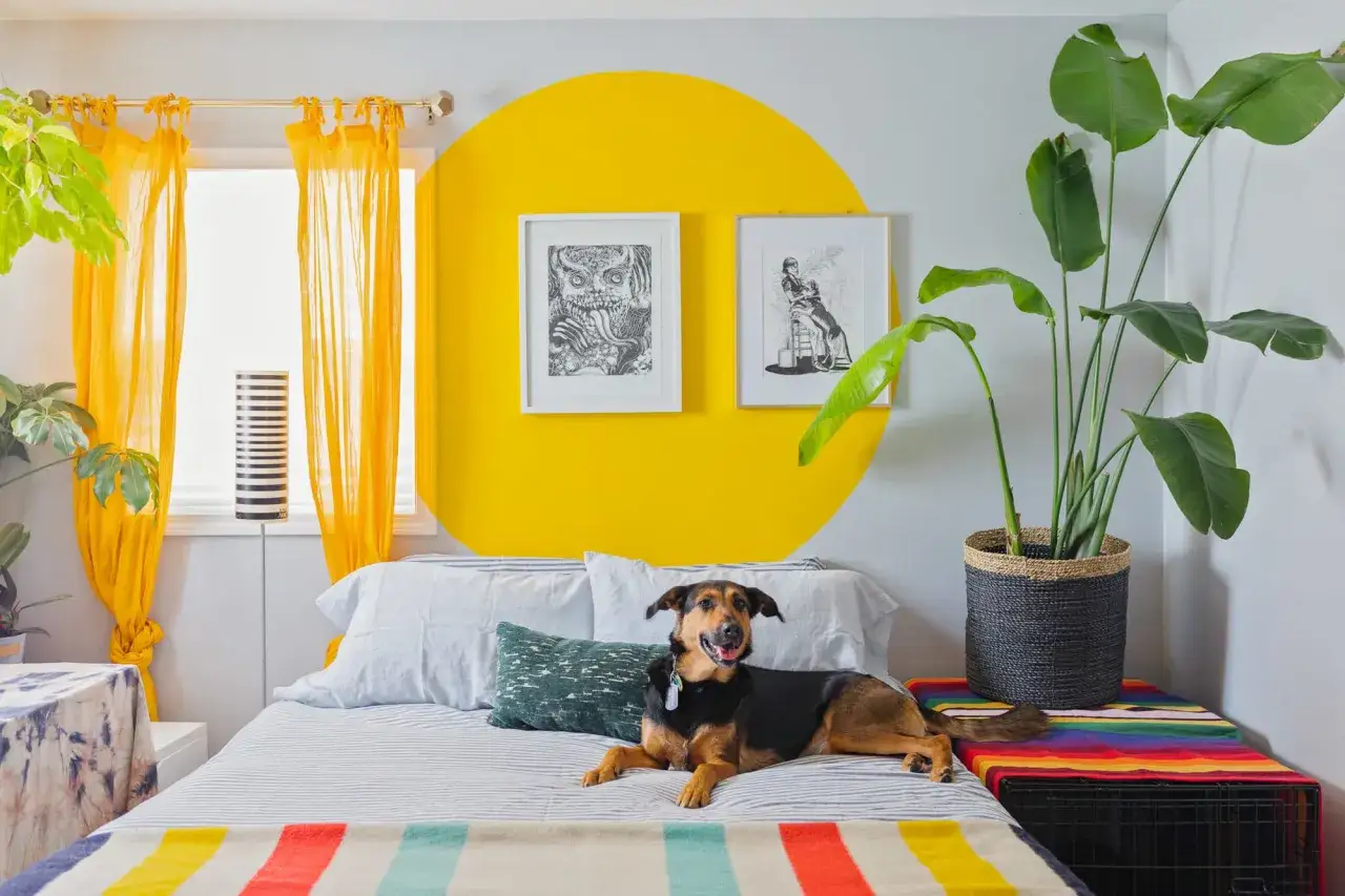 Un chien se repose sur un lit, devant un mur orné d'un grand cercle jaune, une idée motif peinture murale audacieuse.