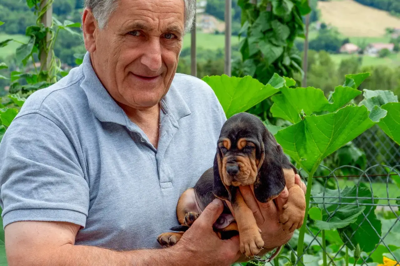 Bruno Saint Hubert, un homme souriant, tient un chiot Basset Hound aux longues oreilles.