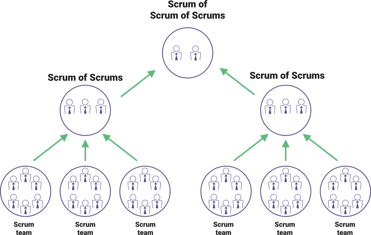 Diagramme hiérarchique illustrant l'agilité à l'échelle, avec des équipes Scrum formant des 