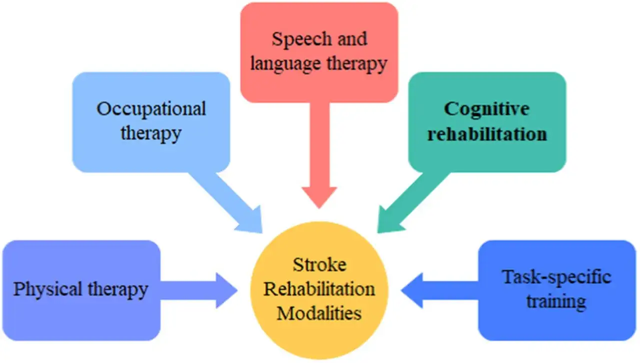 Schema zeigt verschiedene Ans&auml;tze der Schlaganfall Behandlung: Physiotherapie, Ergotherapie, Sprachtherapie, kognitive Rehabilitation und aufgabenbezogenes Training.