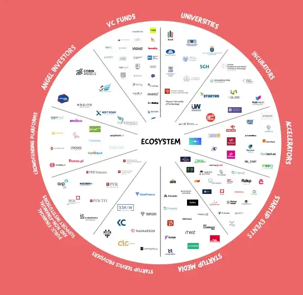 rodzaje inwestor&oacute;w startupowych w Polsce